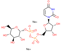 Uridine-5'-diphosphoglucose disodium salt