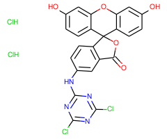 5-DTAF, Single isomer