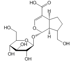 Geniposidic acid