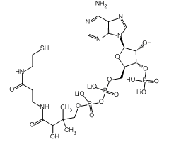 Coenzyme A trilithium salt