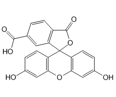 6-Carboxyfluorescein