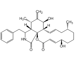 Cytochalasin B