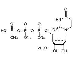 Uridine 5'-triphosphate trisodium salt dihydrate