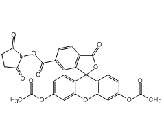 2-Amino-4-methoxy-7-(2-deoxy--D-ribofuranosyl)-pyrrolo[2,3-d]pyrimidine