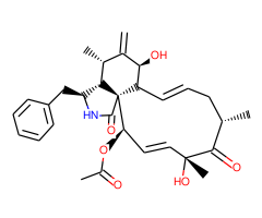 Cytochalasin D