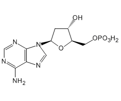 2'-Deoxyadenosine 5'-monophosphate