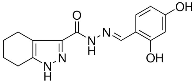 4,5,6,7-4H-1H-INDAZOLE-3-CARBOXYLIC ACID (2,4-DIHYDROXY-BENZYLIDENE)-HYDRAZIDE