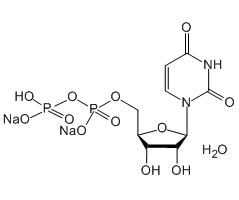 Uridine 5-diphosphate disodium salt