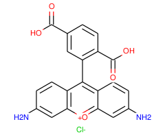 5-Carboxyrhodamine 110, succinimidyl ester, single isomer