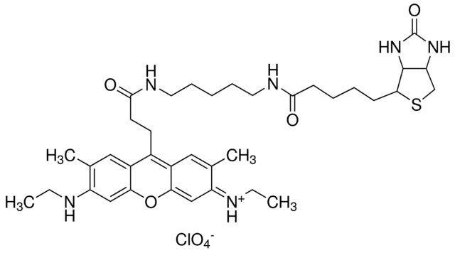 Atto 520-Biotin