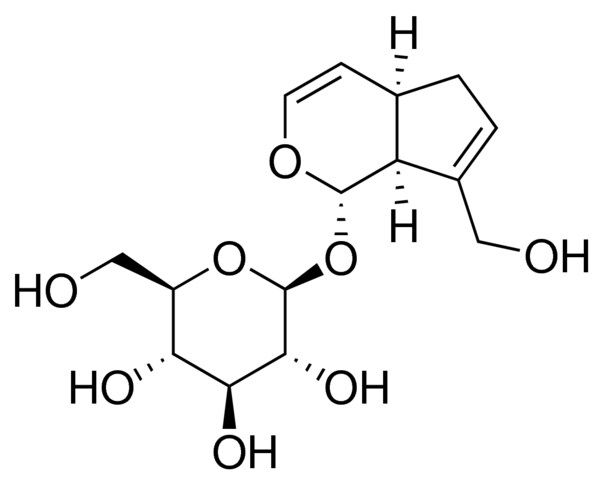 Bartsioside