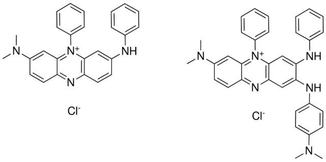 BASIC DYE (INDAZINE M C.I. 50221)