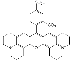 Sulforhodamine 101 acid chloride