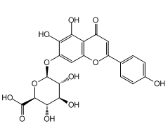 Scutellarin