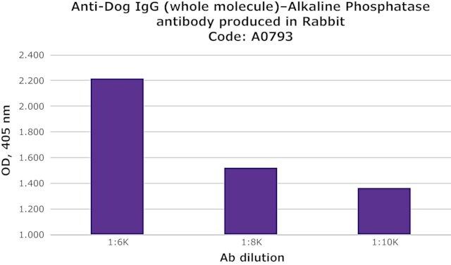 Anti-Dog IgG (whole molecule)CAlkaline Phosphatase antibody produced in rabbit