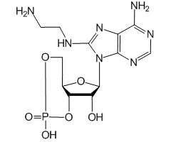 8-(2-Aminoethyl)aminoadenosine-3',5'-cyclic monophosphate