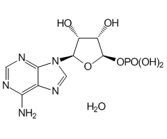 Adenosine 5'-Monophosphate