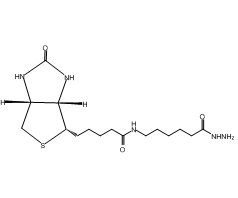 (+)-Biotinamidohexanoic acid hydrazide