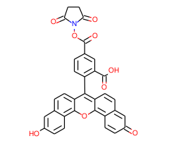 5(6)-Carboxynaphthofluorescein , succinimidyl ester