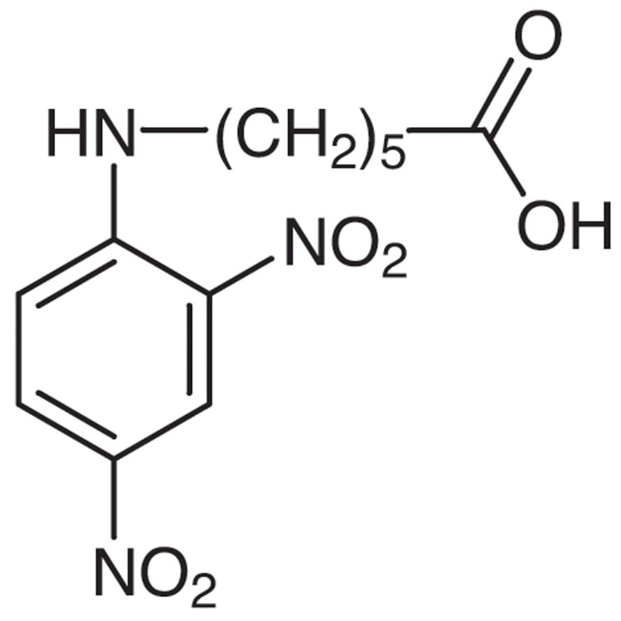 N-(2,4-Dinitrophenyl)-6-aminohexanoic Acid