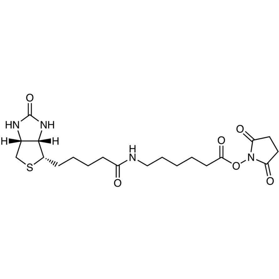 N-Succinimidyl 6-Biotinamidohexanoate