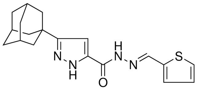 5-ADAMANTAN-1-YL-2H-PYRAZOLE-3-CARBOXYLIC ACID THIOPHEN-2-YLMETHYLENE-HYDRAZIDE