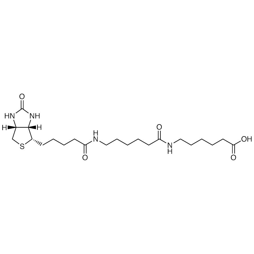 N-Biotinylcaproylaminocaproic Acid