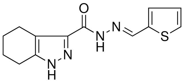 4,5,6,7-4H-1H-INDAZOLE-3-CARBOXYLIC ACID THIOPHEN-2-YLMETHYLENE-HYDRAZIDE