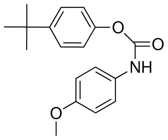 4-TERT-BUTYLPHENYL N-(4-METHOXYPHENYL)CARBAMATE