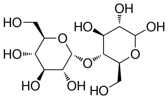 4-O-HEXOPYRANOSYLHEXOPYRANOSE