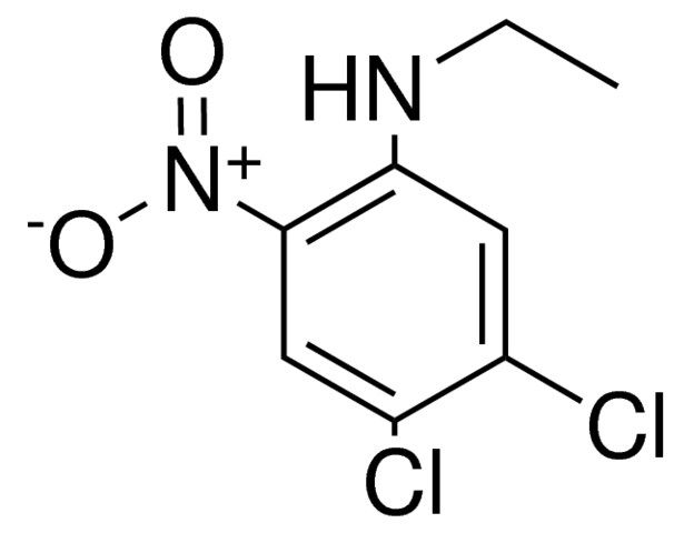 4,5-DICHLORO-N-ETHYL-2-NITROANILINE