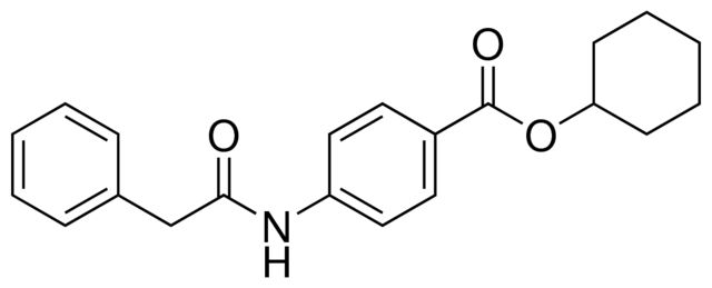 4-PHENYLACETYLAMINO-BENZOIC ACID CYCLOHEXYL ESTER