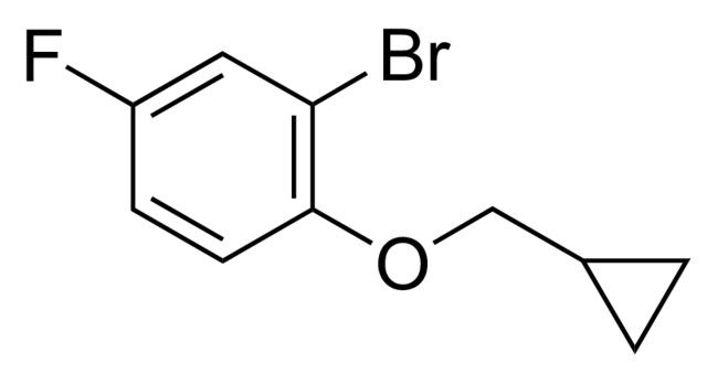 4-Fluoro-2-bromophenol methylcyclopropyl ether