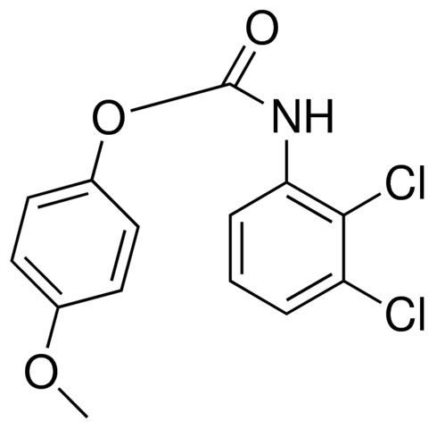 4-METHOXYPHENYL N-(2,3-DICHLOROPHENYL)CARBAMATE