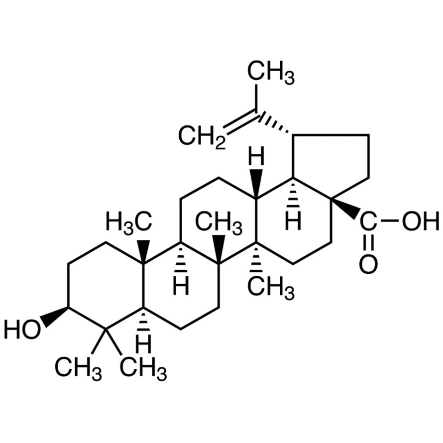 Betulinic Acid