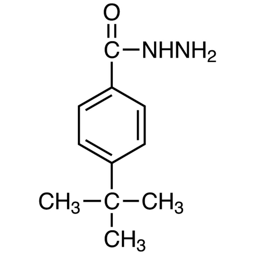 4-tert-Butylbenzohydrazide