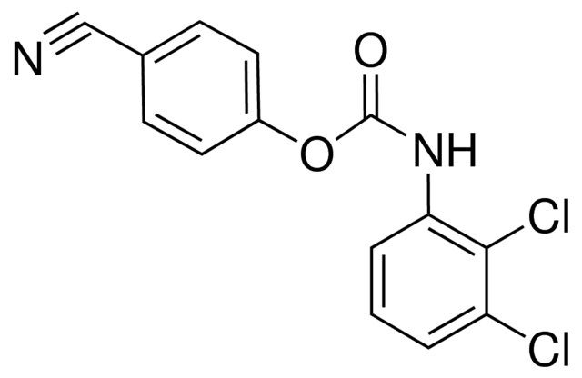 4-CYANOPHENYL N-(2,3-DICHLOROPHENYL)CARBAMATE