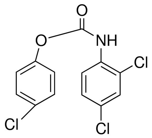 4-CHLOROPHENYL N-(2,4-DICHLOROPHENYL)CARBAMATE