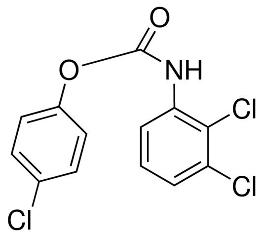 4-CHLOROPHENYL N-(2,3-DICHLOROPHENYL)CARBAMATE