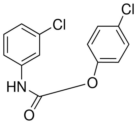 4-CHLOROPHENYL N-(3-CHLOROPHENYL)CARBAMATE