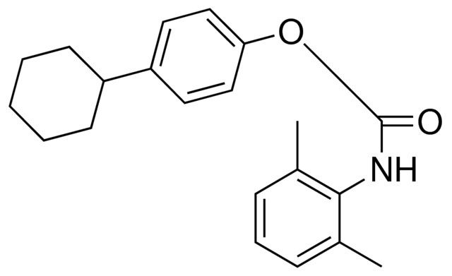 4-CYCLOHEXYLPHENYL N-(2,6-XYLYL)CARBAMATE