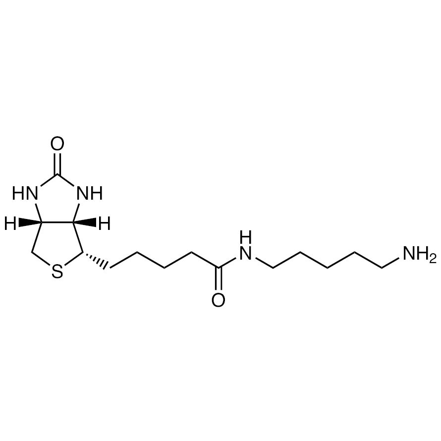 Biotin-C<sub>5</sub>-Amine (2mg×5)