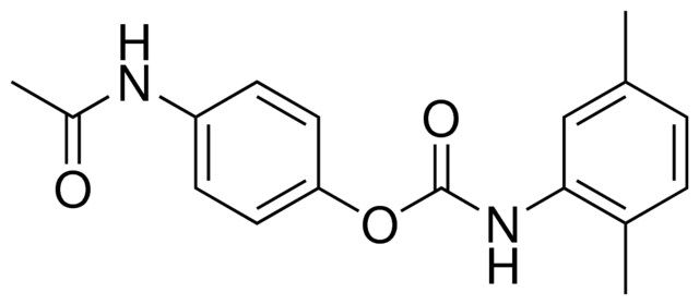 4-ACETAMIDOPHENYL N-(2,5-XYLYL)CARBAMATE