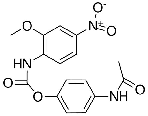 4-ACETAMIDOPHENYL N-(2-METHOXY-4-NITROPHENYL)CARBAMATE