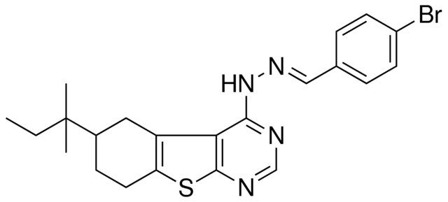 4-BROMOBENZALDEHYDE (6-TERT-PENTYL-5,6,7,8-TETRAHYDRO[1]BENZOTHIENO[2,3-D]PYRIMIDIN-4-YL)HYDRAZONE