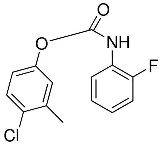 4-CHLORO-3-METHYLPHENYL N-(2-FLUOROPHENYL)CARBAMATE