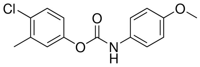 4-CHLORO-3-METHYLPHENYL N-(4-METHOXYPHENYL)CARBAMATE