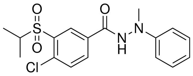 4-CHLORO-3-(ISOPROPYLSULFONYL)-N'-METHYL-N'-PHENYLBENZOHYDRAZIDE