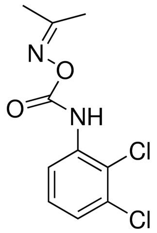 O-(N-(2,3-DICHLOROPHENYL)CARBAMOYL)ACETONE OXIME