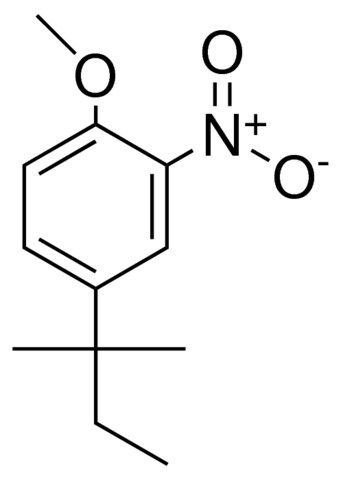 4-(1,1-DIMETHYL-PROPYL)-1-METHOXY-2-NITRO-BENZENE